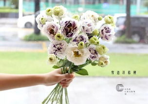  2019年12星座幸运花大揭秘