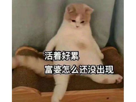 2020年最励志游戏4个人做的武侠游戏,未发售就有40万玩家预约