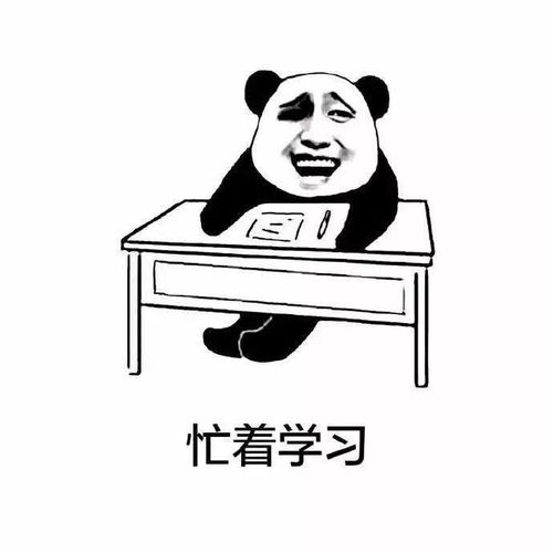  山东专升本考试激励你学习的壁纸