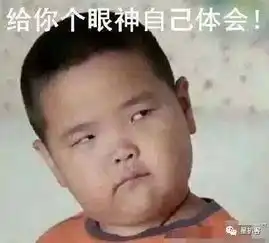 谢飞机 表情包百度云少