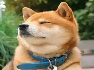  假面骑士之荒岛直播系统