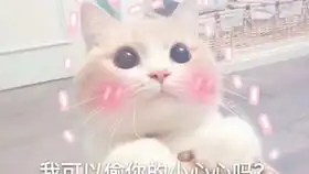  故都的秋
