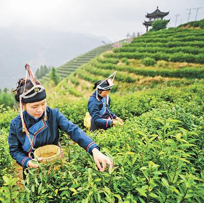 畲乡民族风带旺人气添机遇探访民族特色很时尚