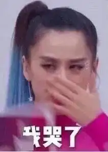  搞笑表情包我哭了我装的