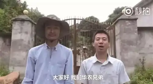  为什么最洋气的你,深深迷上了最土文化