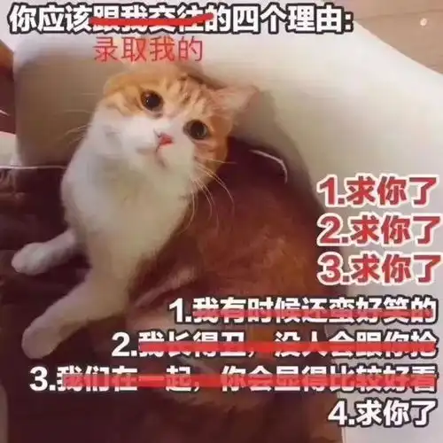  你想要的都在这儿了