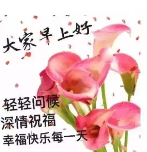  早上好朋友,早上好温馨漂亮图片祝福语录,早晨好唯美动画表情问候语录