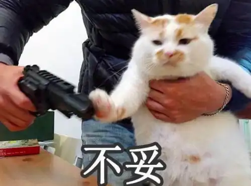  天朝渣男图鉴之,吴秀波教你如何出轨且送小三进监狱