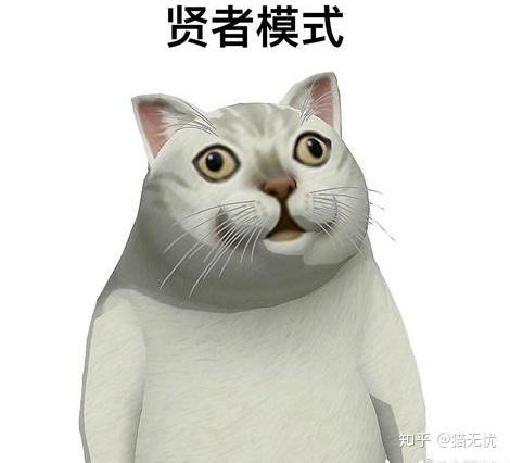  平价的猫粮有什么推荐吗