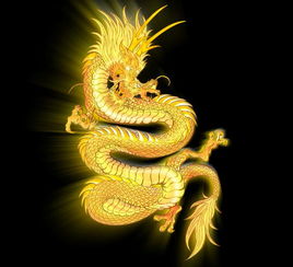  5月13号生肖龙必有一劫要留一心眼了