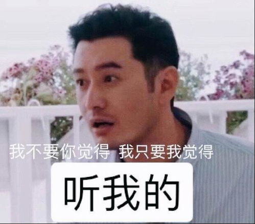  月亮狮子自尊心超强的小傲娇