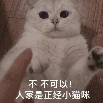  想破我防是吧想破防是表情