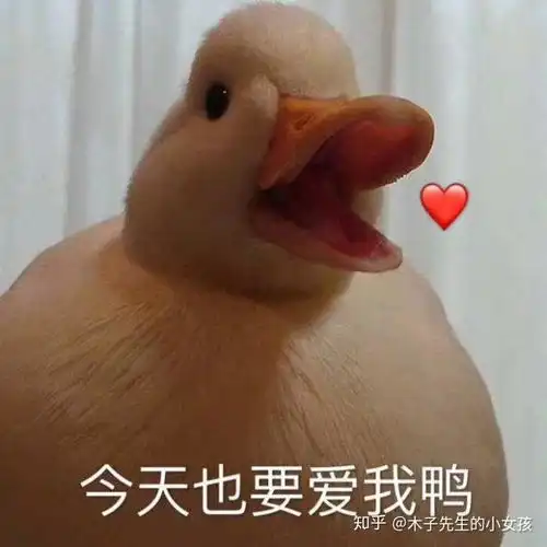  你们说一个男生经常找一个女生聊天是为什么