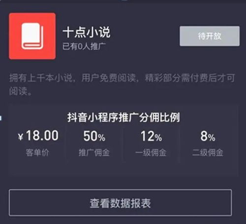  抖推丨个人如何利用抖音小程序变现