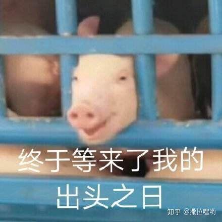 哥哥要红包的表情包沙雕
