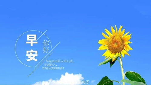  早安心语励志图片早安心语励志的句子