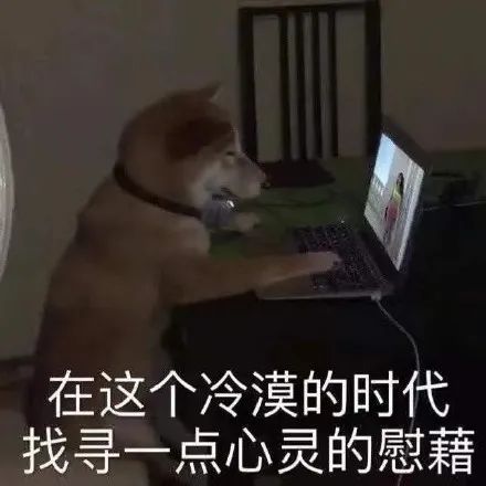  聪明的富二代,知道啃老