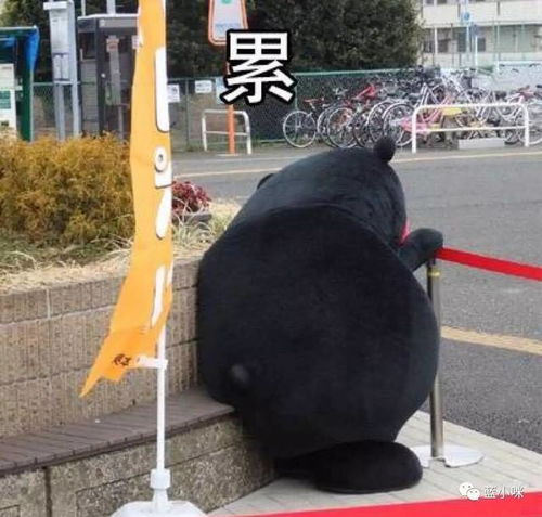  记一次失败的微波炉烤披萨经历