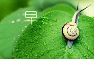  下载早安心语的微信图片