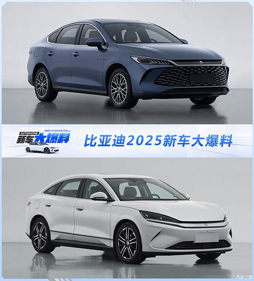  比亚迪2025新车大爆料新款秦plus秦lev海鸥等纯电续航破千
