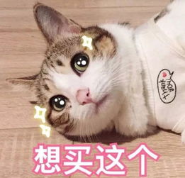  杜绝烂尾风险,在驻马店这种房子更稳妥