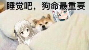 奔跑的表情包晚安
