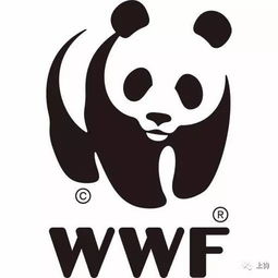  企鹅竟然喜欢吃性奋的水母,图个啥