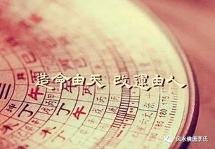  风水挂画有讲究,镇宅又降福