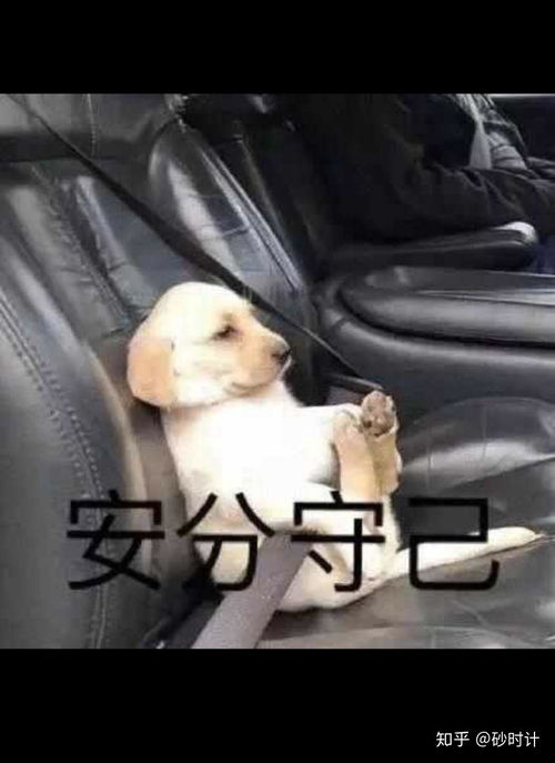  帕梅拉有效吗
