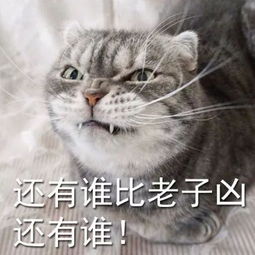  海棠未雨备受追捧的真正原因其实是它的