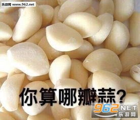  你算哪颗辣鸡表情包你算哪块小饼干可爱骂人表情包下载乐游网游戏下载