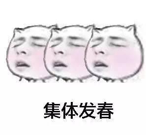  最佳男友郑恺,搭档张雨绮上演追爱之旅
