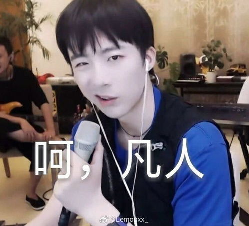  有没有好玩的刘宇宁表情包
