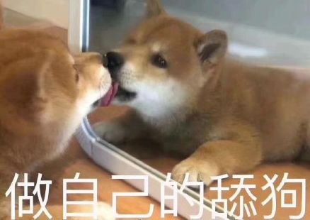  什么舔狗别舔了,我们狗也要面子的
