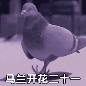  表情包晨跑豆腐脑夜跑小烧烤