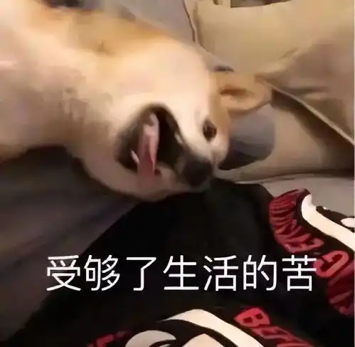 真惨表情包线稿