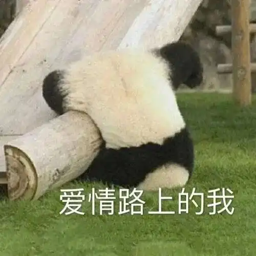  第127期聊天斗图必备表情包