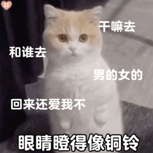  可以哄你家臭宝开心的表情包