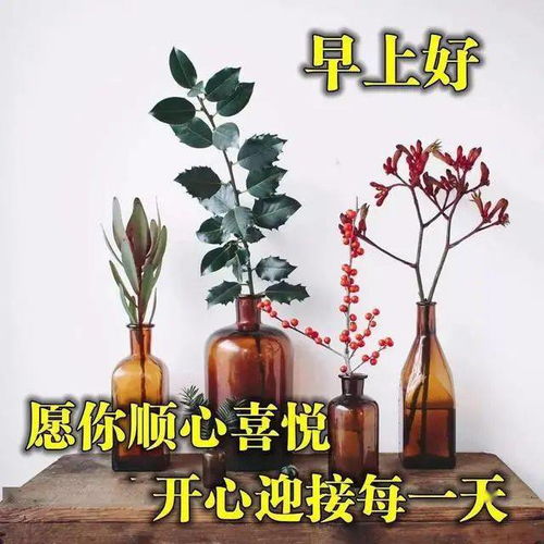  周二早上好阳光祝福表情温馨问候图片精选新早上好问候语表情图片