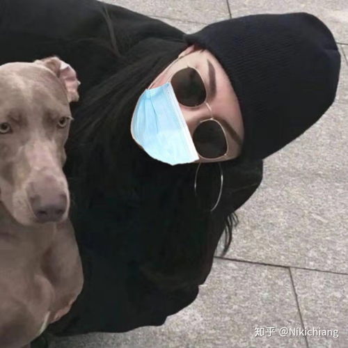  怎么给头像戴口罩