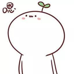  星徽团熠响青春之歌新华章