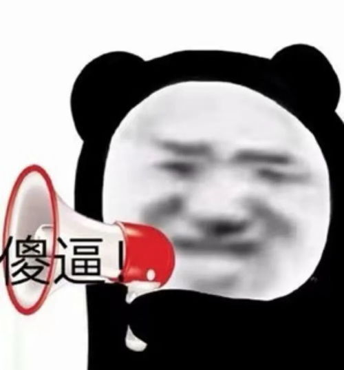  我讨厌用情侣头像的人熊猫头表情包