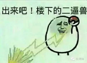 qq表情包大全解释