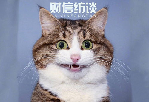  华鑫信托335号成都金堂