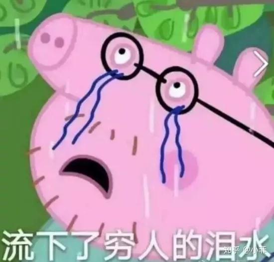 担心表情包小猪