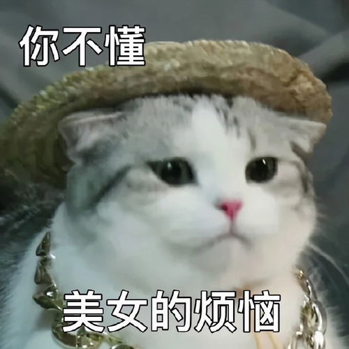  正经网友绝对刷不到的绝版沙雕表情包