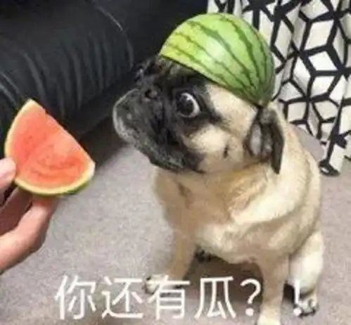 r1se表情包大全没事