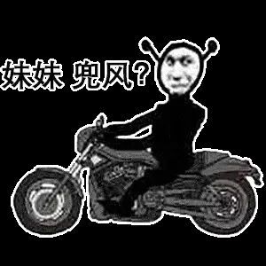  杂收藏夹