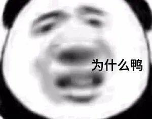  有哪些文案,让你觉得我一辈子都写不出来