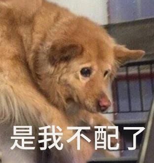  00后别劝我早睡,我不配